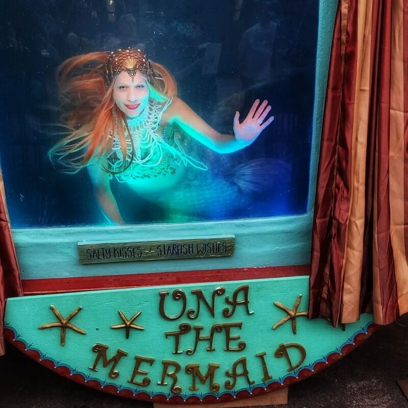Five Enchanted Merma Black Mermaid Doll with Book (Zari) -Super